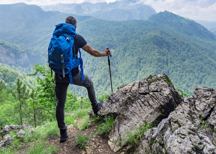 Book a tour primefal forest perucica view point beskita 700x500 1