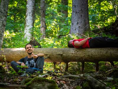 Book a tour primeval forest perucica