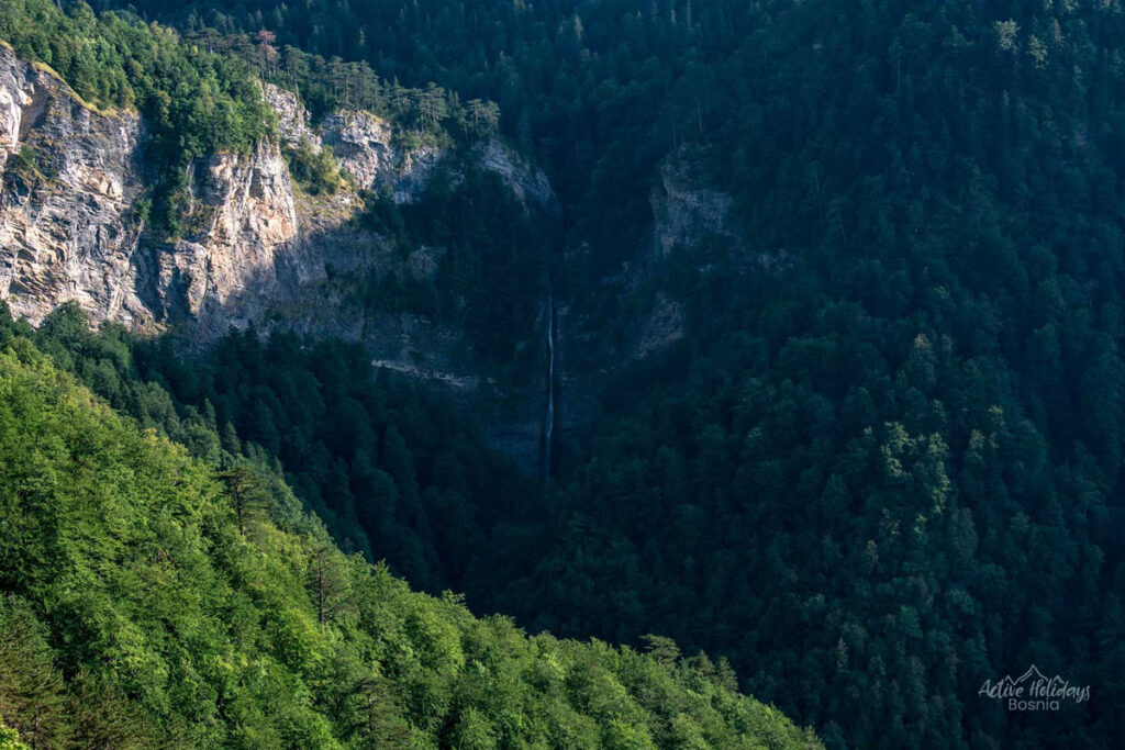 Explore Perućica Rainforest Viewpoints 11. primeforest perucica viewpoint beskita national park sutjeska