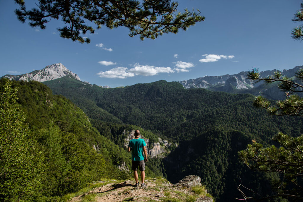 Experience the Untamed Wonders of Perućica 7. primeforest perucica