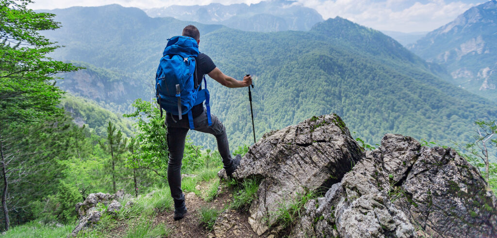Explore Perućica Rainforest Viewpoints primefal forest perucica view point beskita